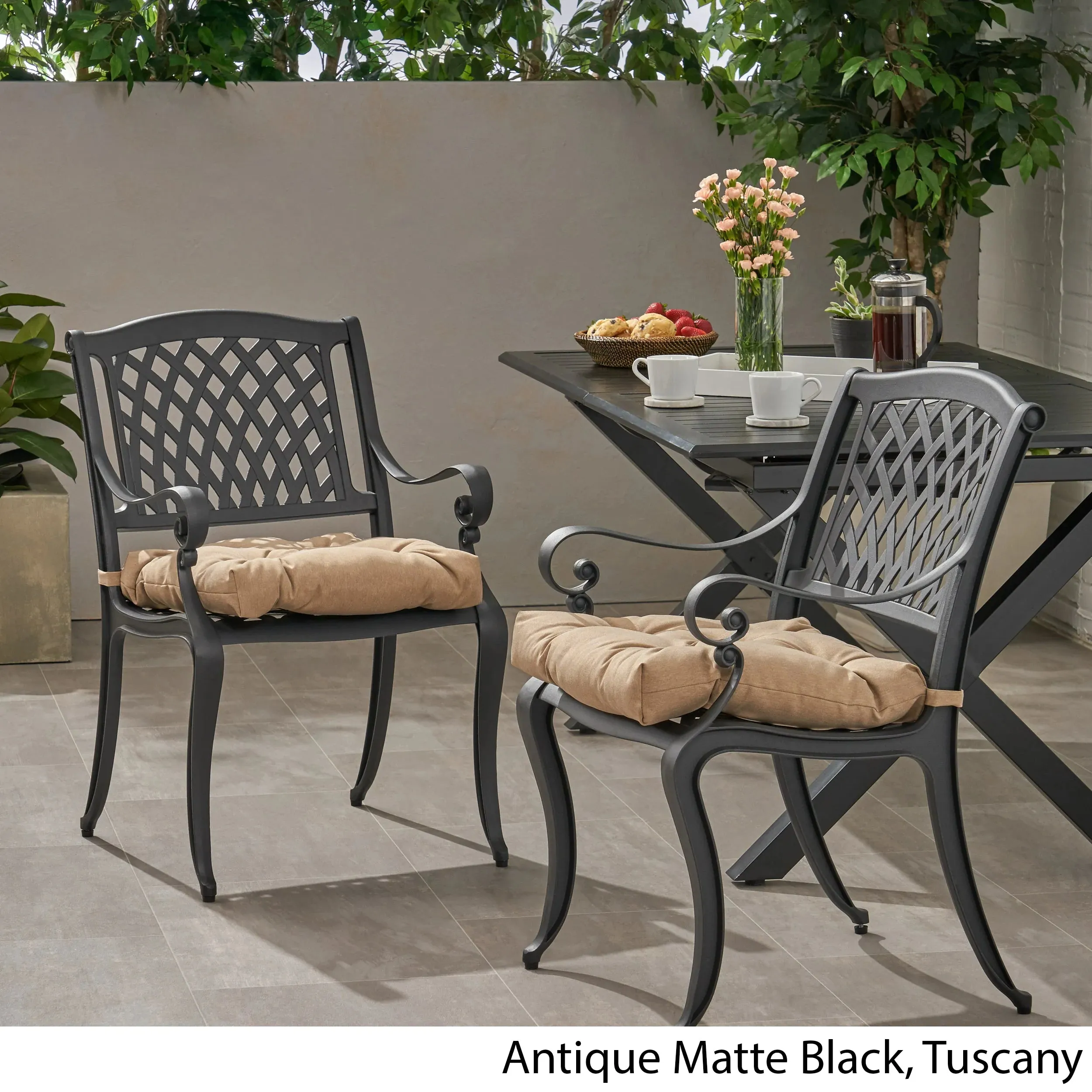 Allee Outdoor Dining Chair with Cushion (Set of 2)