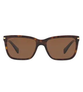 Bvlgari Men Havana Square Sunglasses